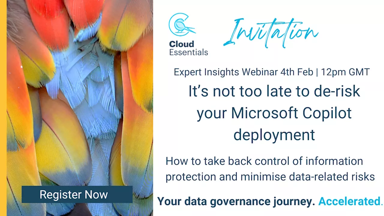 Balancing Risk and Innovation: Taking Control of Copilot Deployments