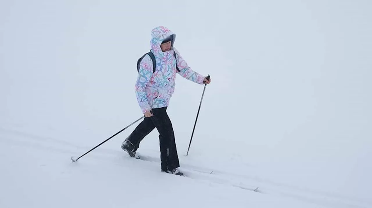 Беговые лыжи: заряд бодрости и крепкого здоровья на всю зиму