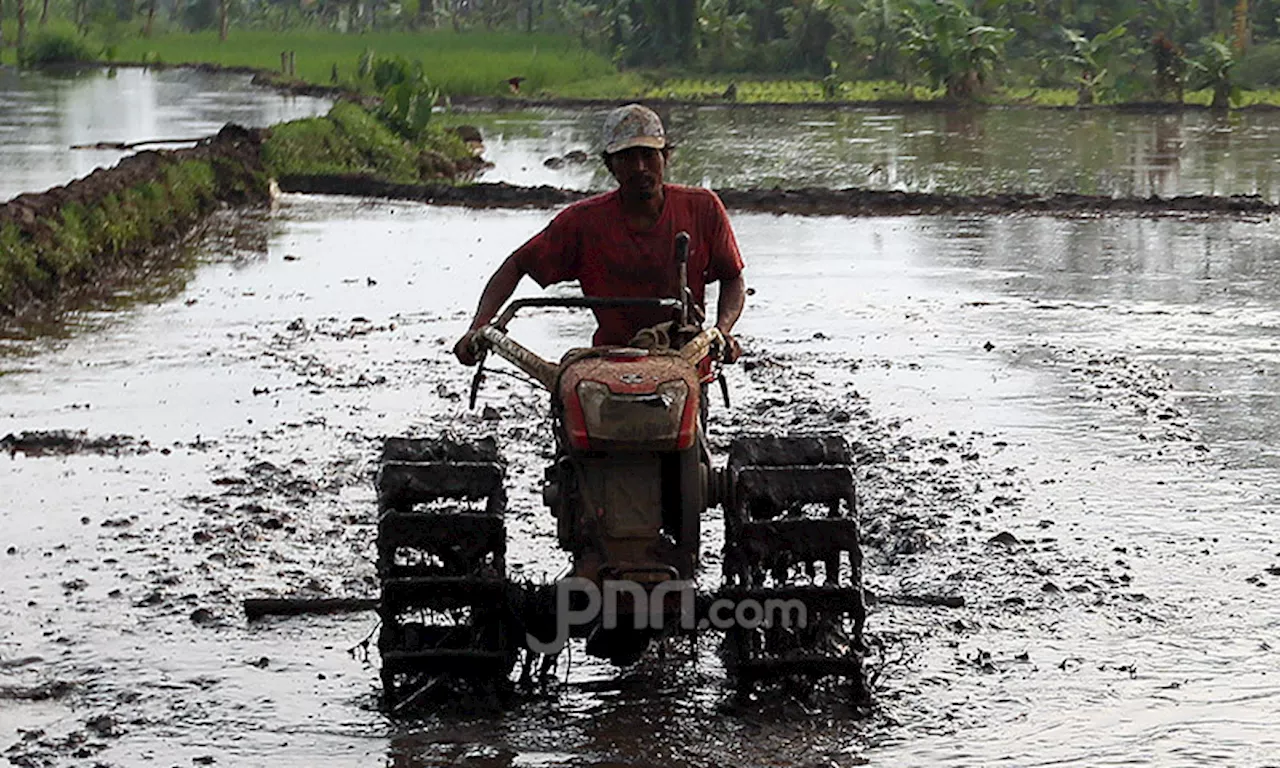 Jangan Kaget, Sebegini Dana untuk Program Swasembada Pangan