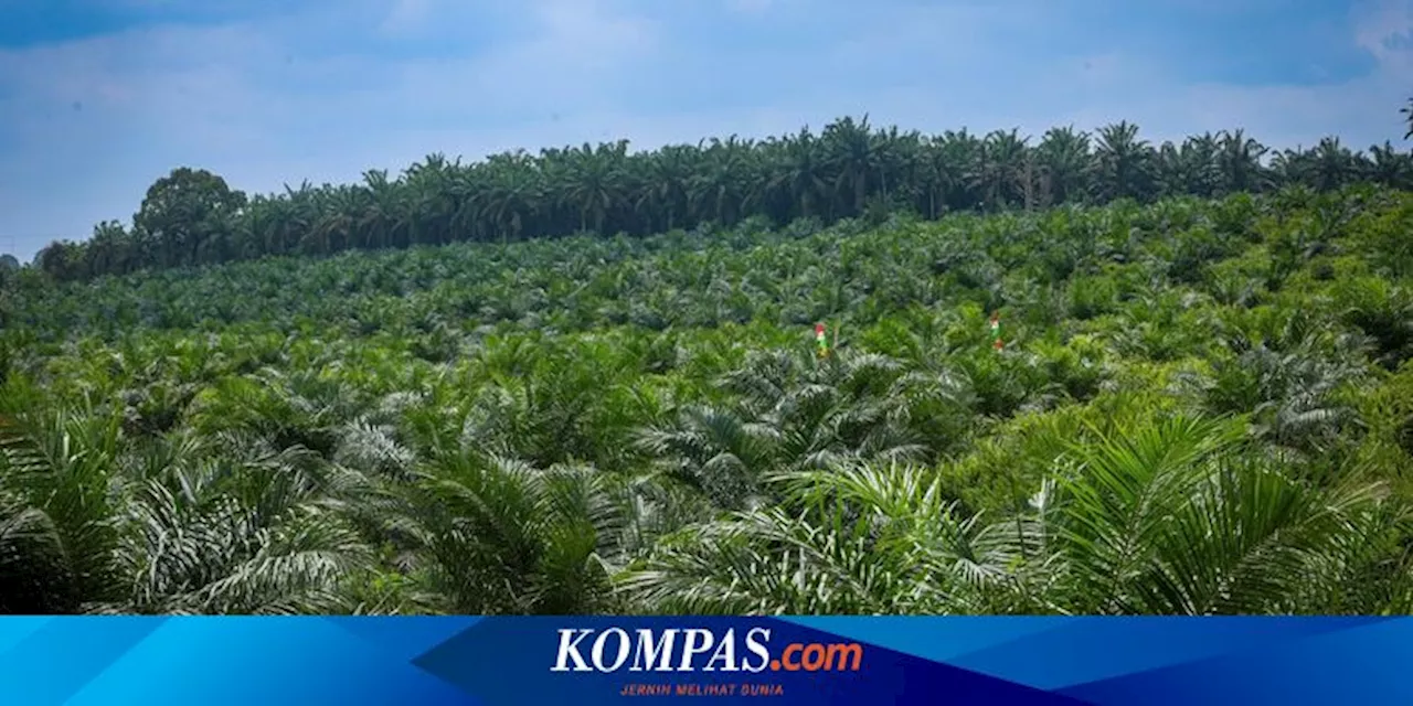 1,1 Juta Hektar Tanah Terdampak Konflik Agraria di Indonesia Tahun 2024