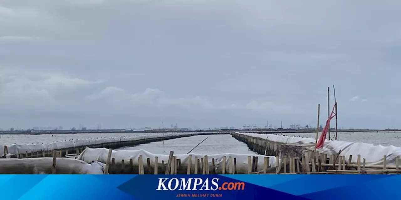 Skandal di Laut Tangerang, Ada HGB 263 Bidang dan SHM 17 Bidang