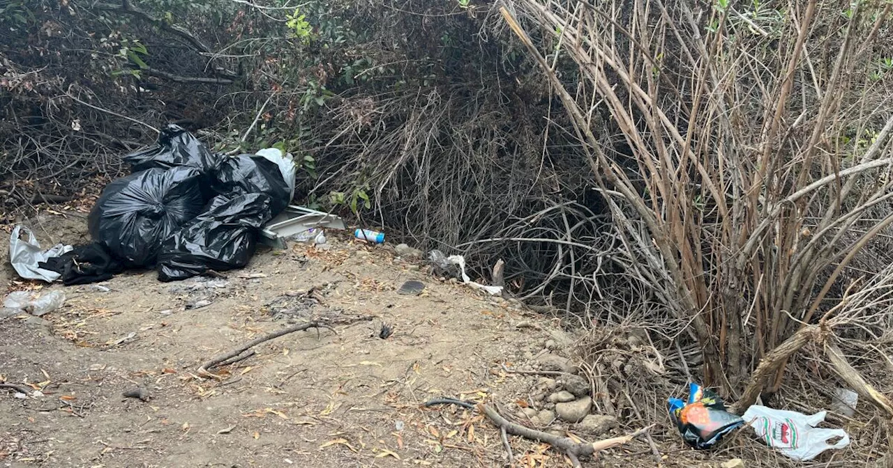 Kensington Fire Safe Volunteers Sound Alarm Over Illegal Encampments