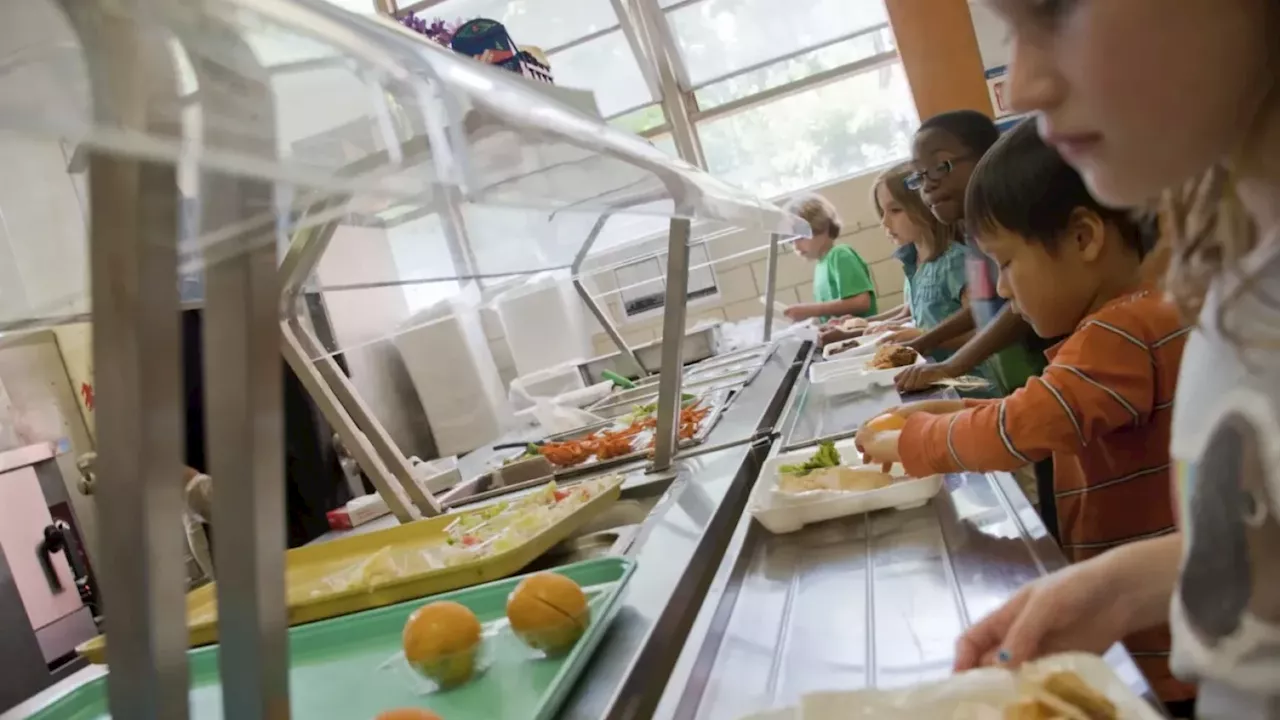 Alaska Bill Aims to Provide Free School Meals for All Students