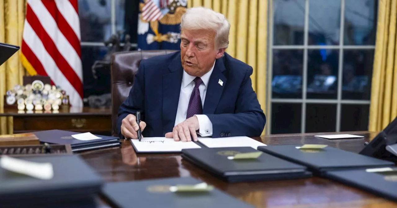 Trumps Executive Orders: Geburtsortsprinzip und mehr
