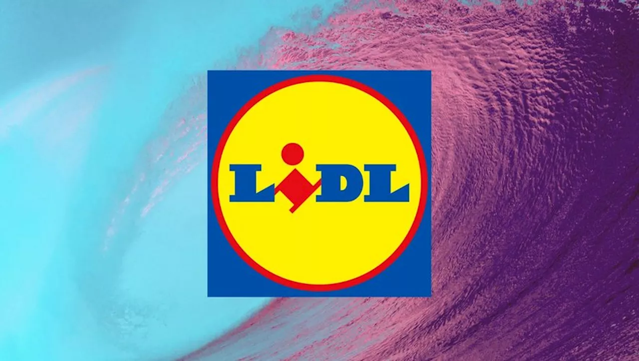 Lidl Propose des Prix Défiant la Concurrence sur 3 Batteries Parkside