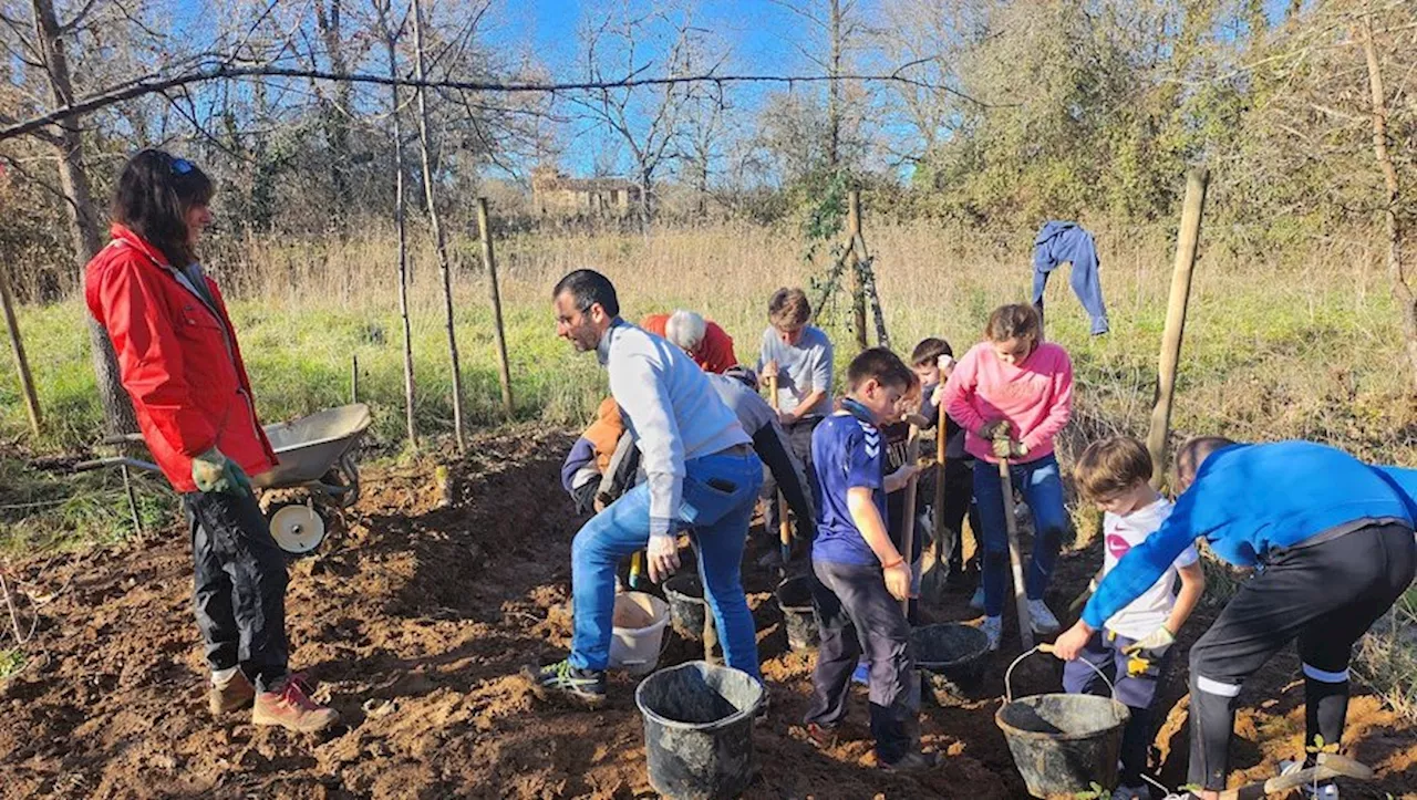 Une mare pédagogique en gestation au jardin Folioles de Prayssac