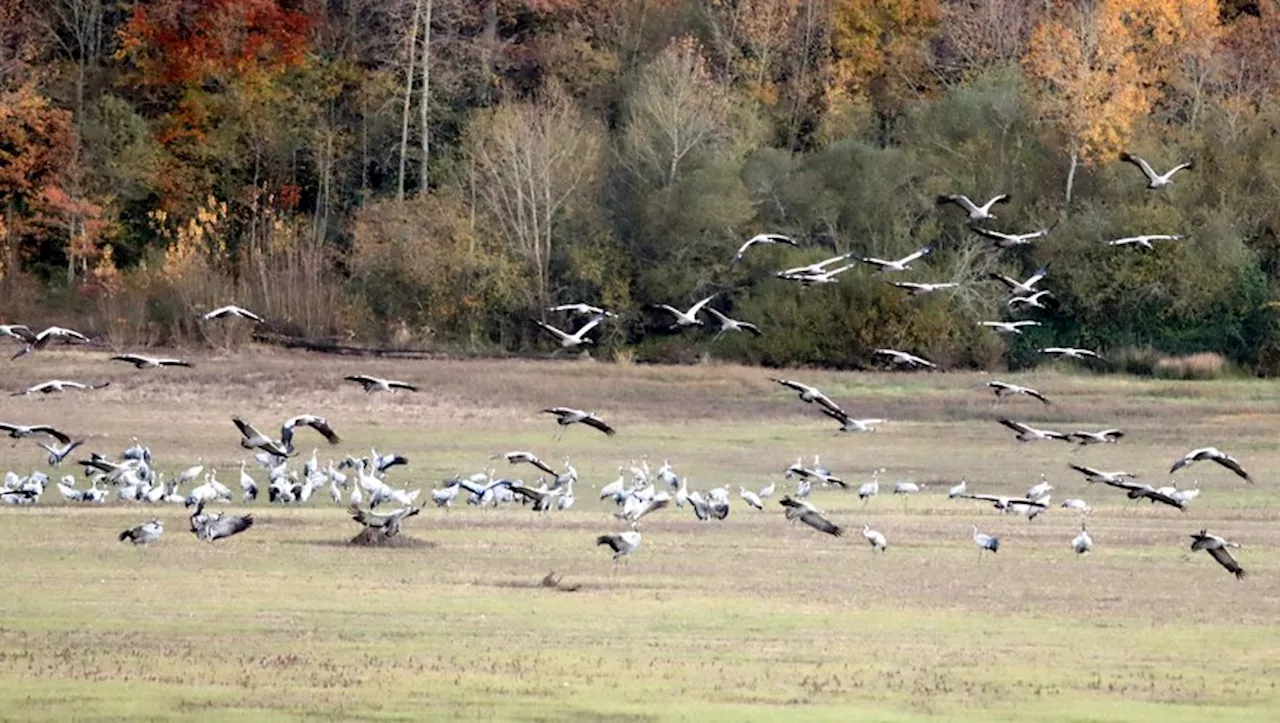 La nature est célébrée en Hautes-Pyrénées ce week-end