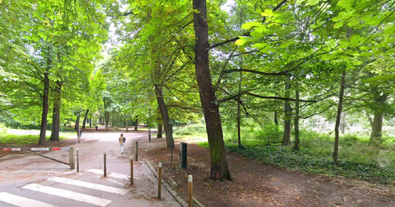 Agression Violente dans le Bois de Vincennes : Jeune Femme Victime d'un Vol à Mainte