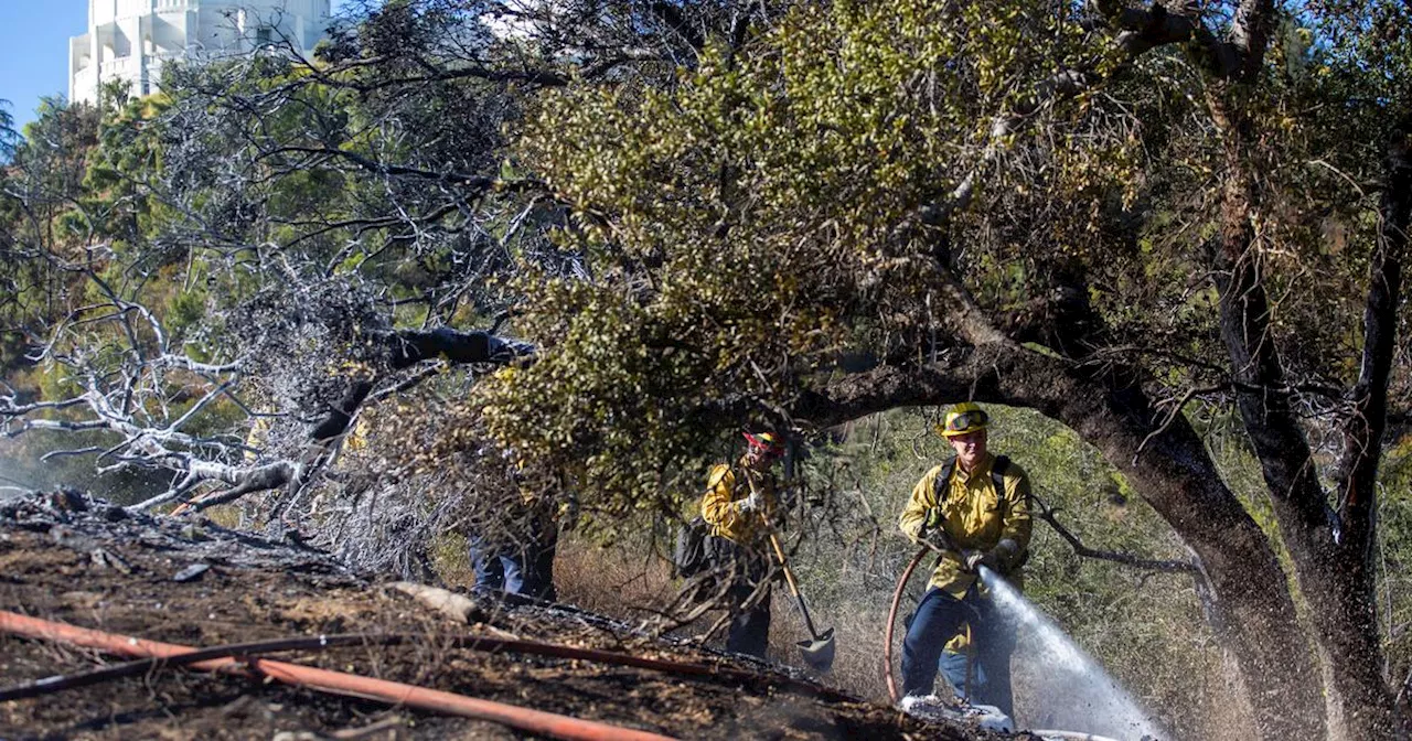 Incendies de Los Angeles: Au Moins 28 Victimes et Des Déclarations de Donald Trump