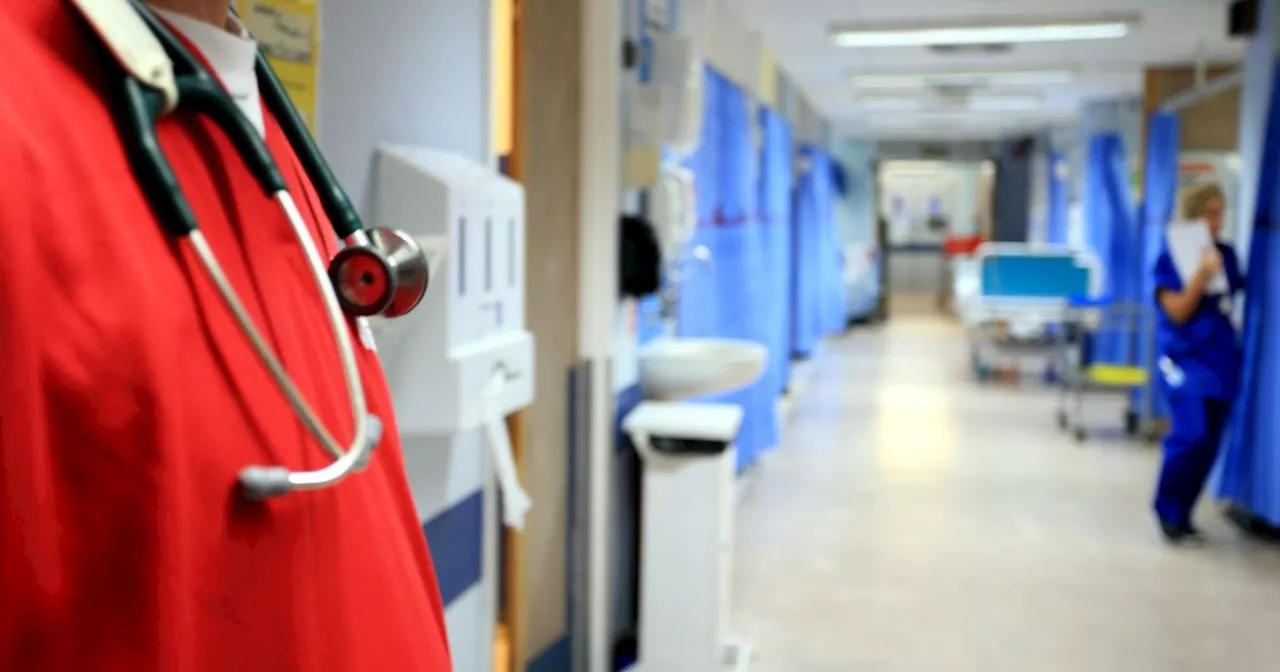 Only a Third of Yorkshire Hospital Staff Are Doctors or Nurses, Report Finds