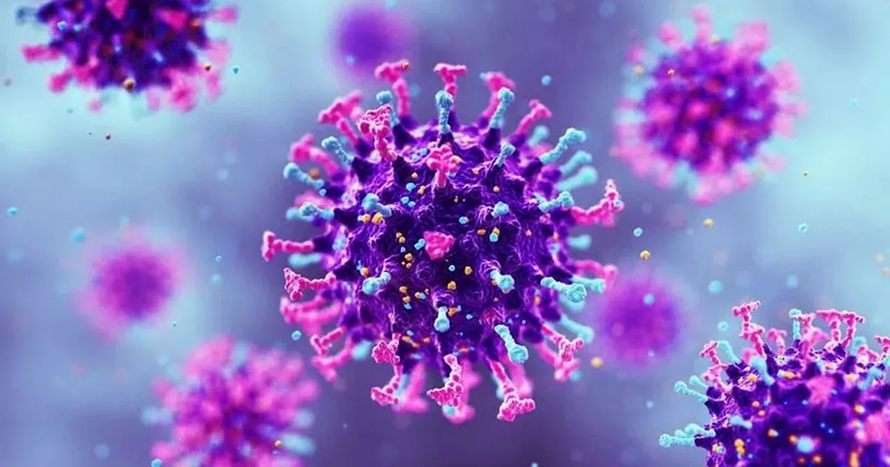 NHS faces pressure as global virus concern rises