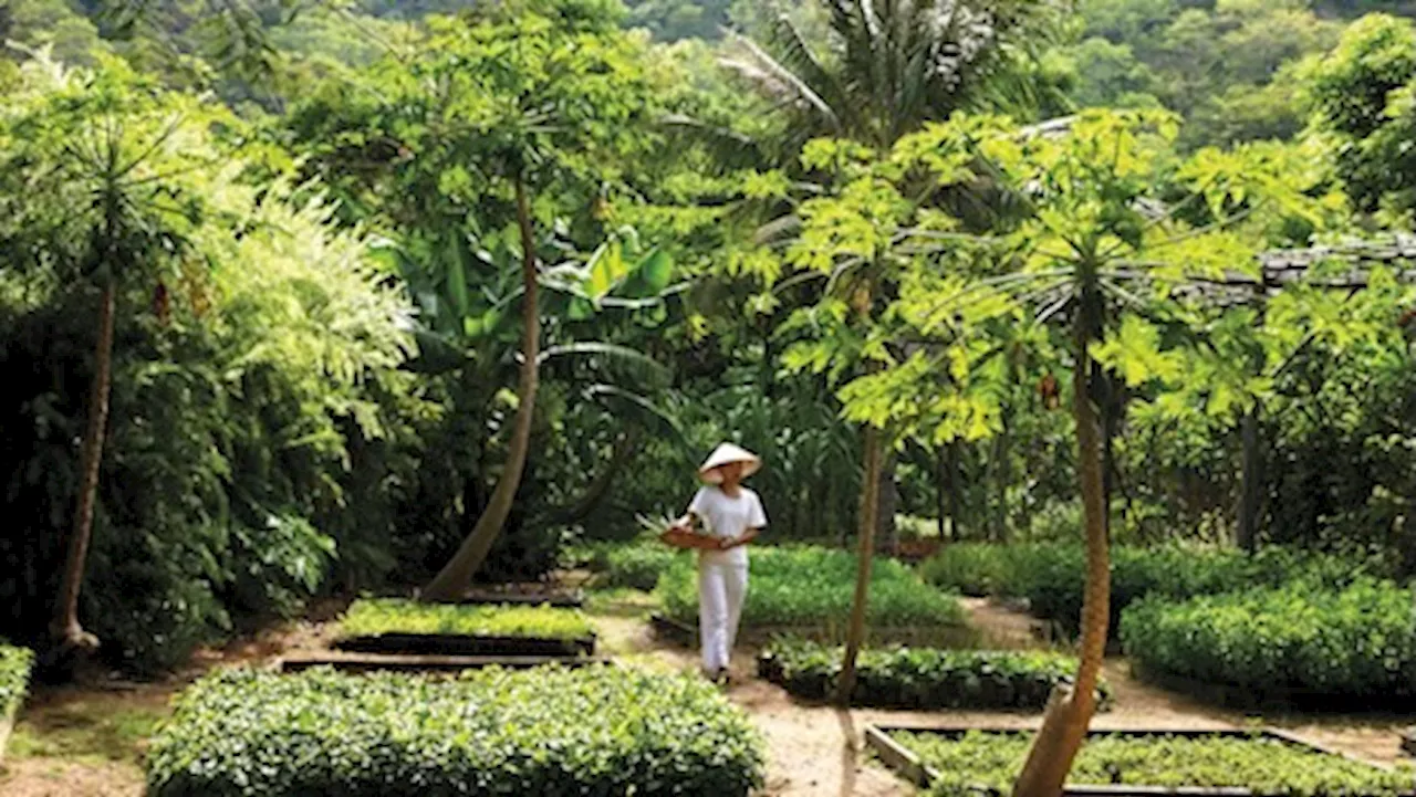 Six Senses Hotels and Resorts Supports Environmental Initiatives