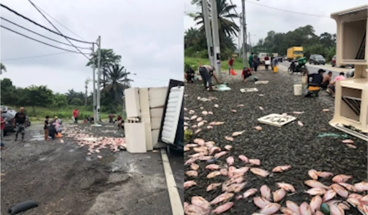 Johor highway turns into seafood free-for-all after lorry spill