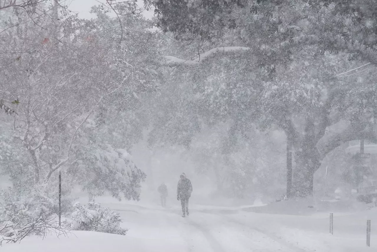 Historic Snowstorm Hits Gulf Coast, Bringing Unexpected Winter Wonderland to Sun-Drenched Cities