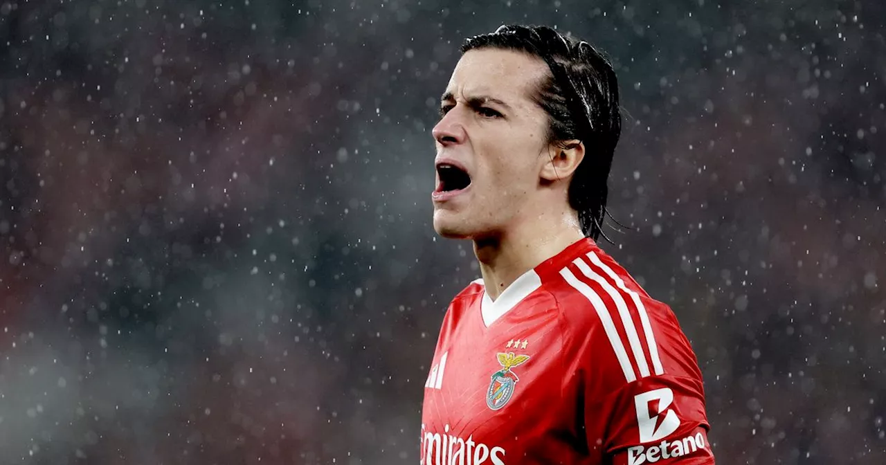 Manchester United Could Re-Sign Alvaro Fernandez From Benfica