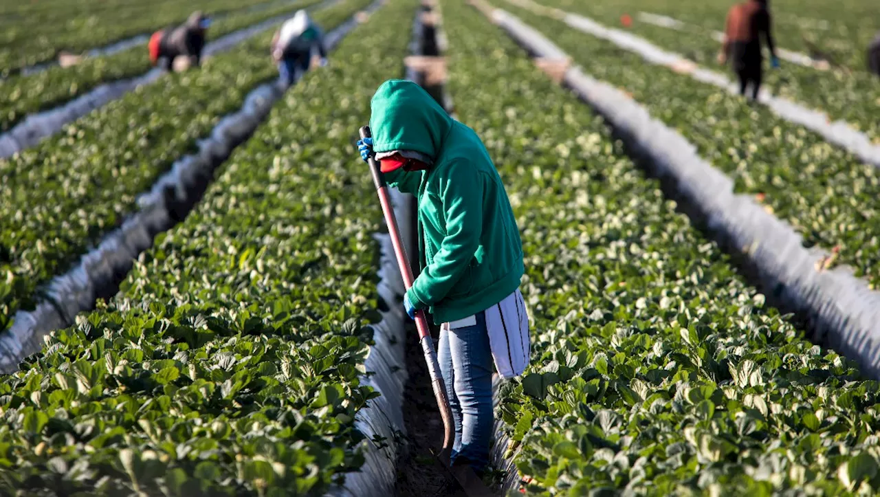 Puebla se prepara para recibir migrantes repatriados