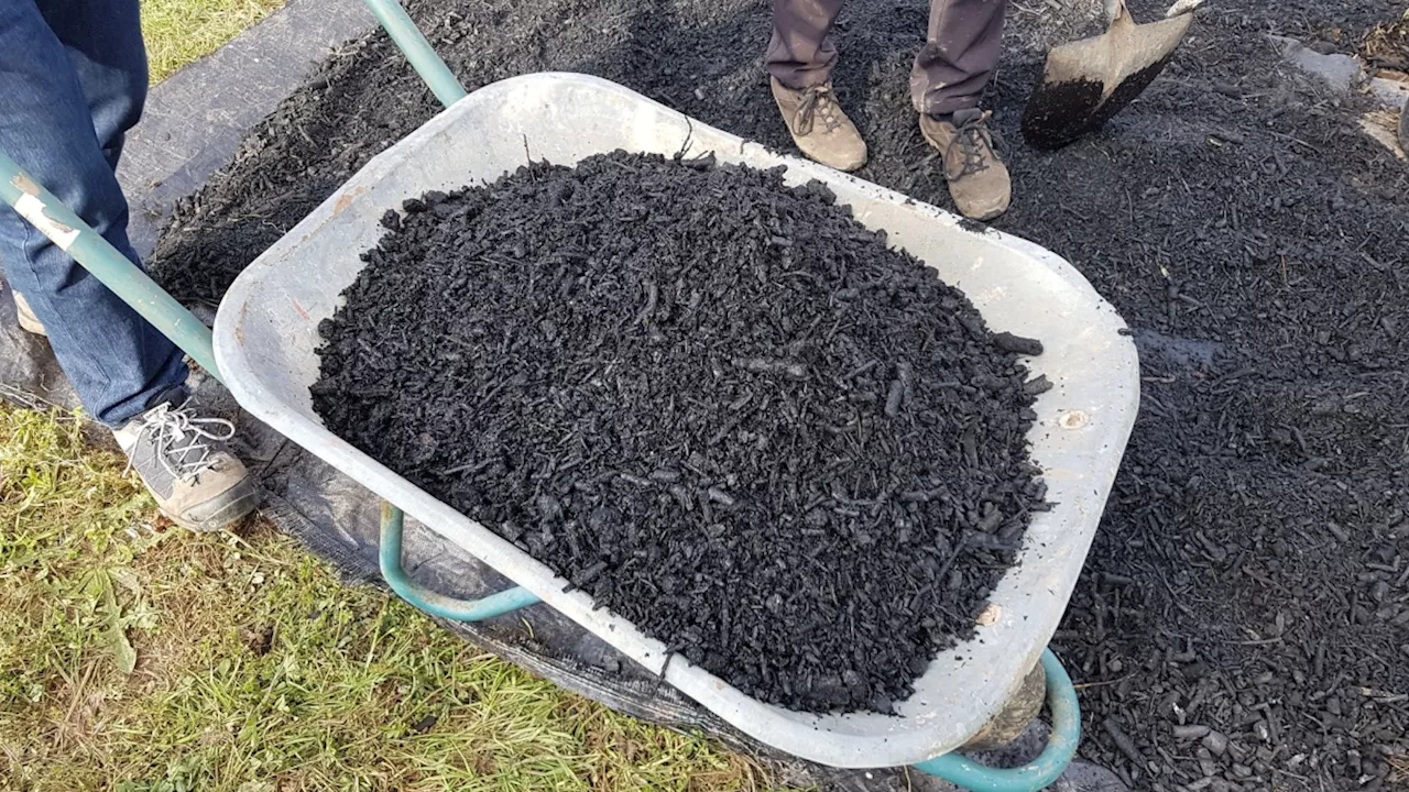 South Africa to Launch First Large-Scale Biochar Production Facility