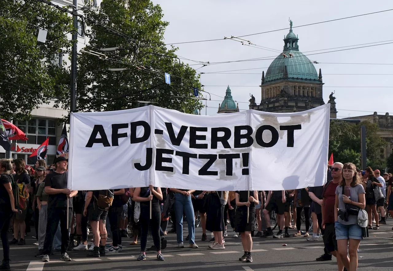 DIMR sieht Voraussetzungen für ein AfD-Verbot erfüllt