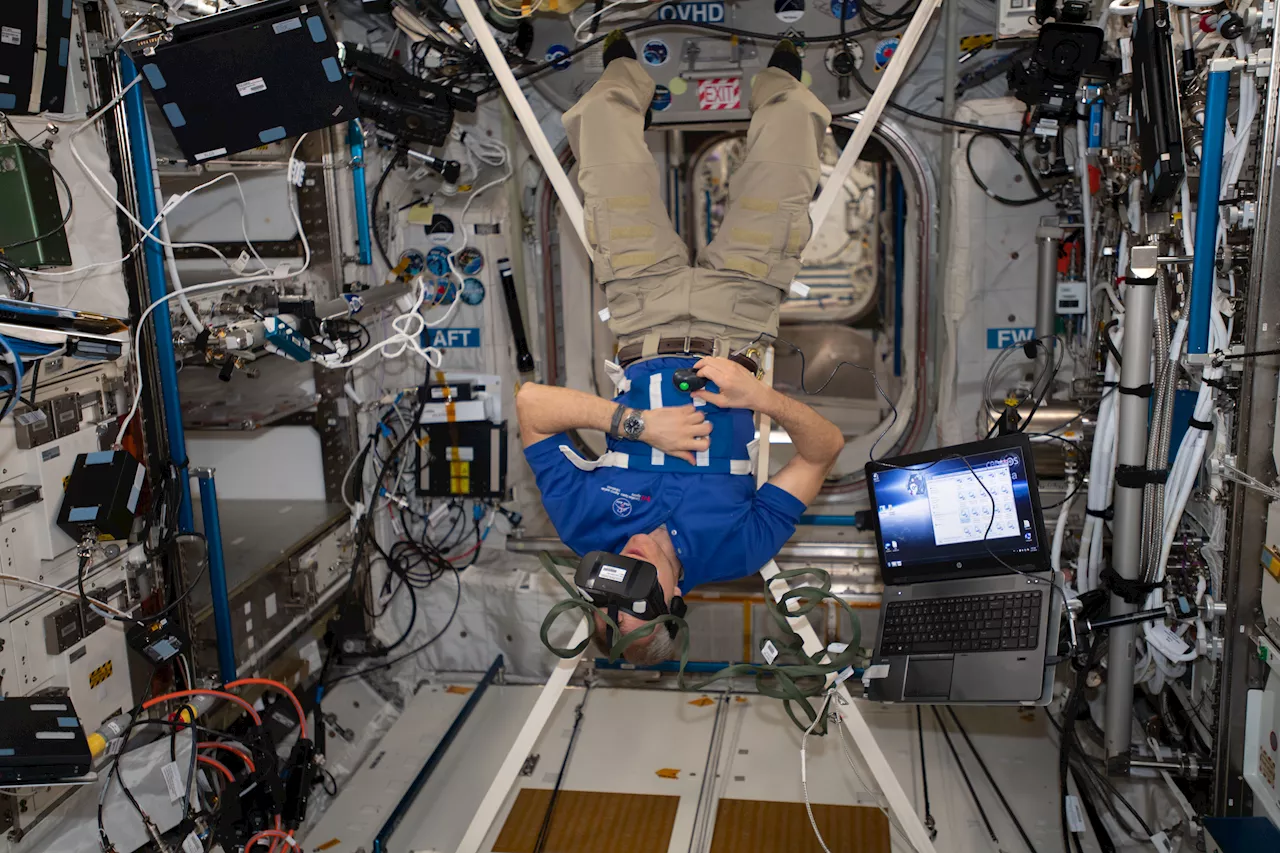 Astronauts Adapt to Space: Research on Physical and Cognitive Changes