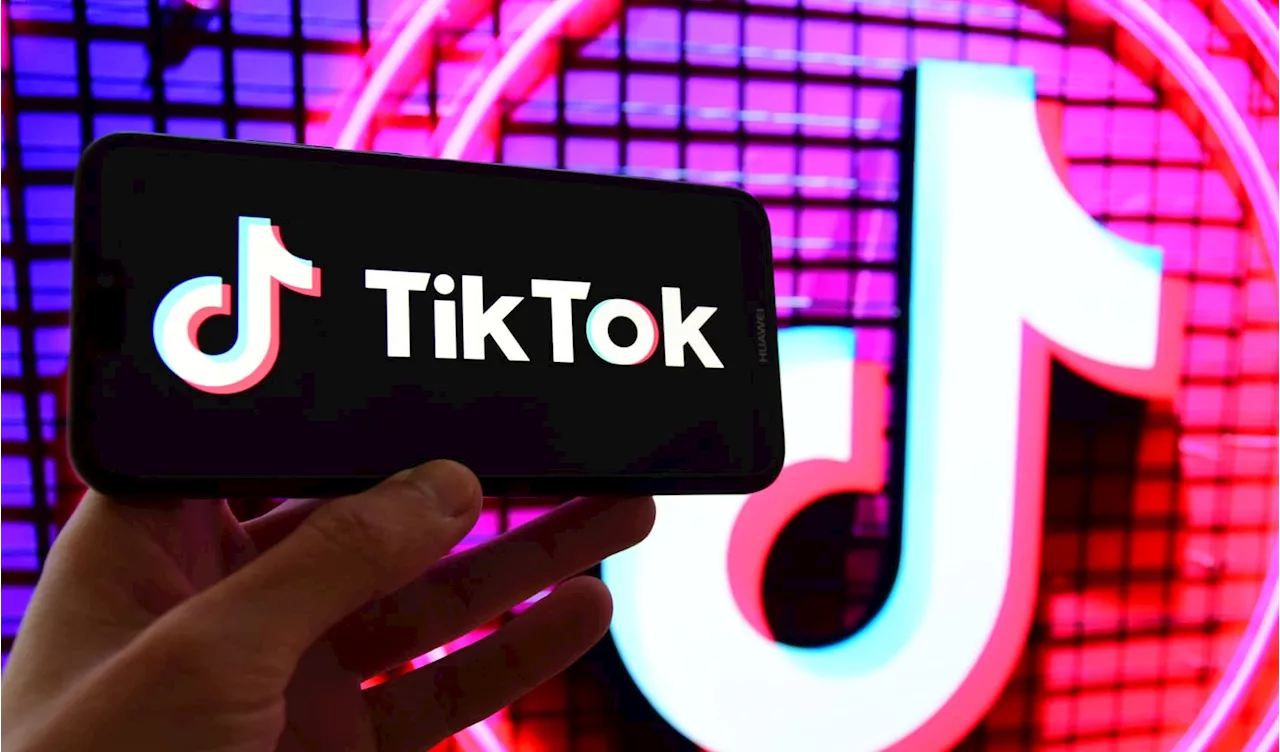 TikTok Deal Uncertain as O'Leary Says Current Law Bars Acquisition