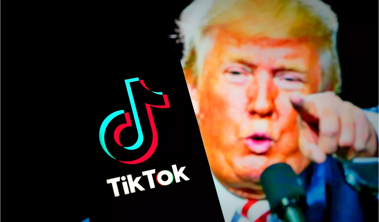 Trump Suggests Musk or Ellison Buying TikTok