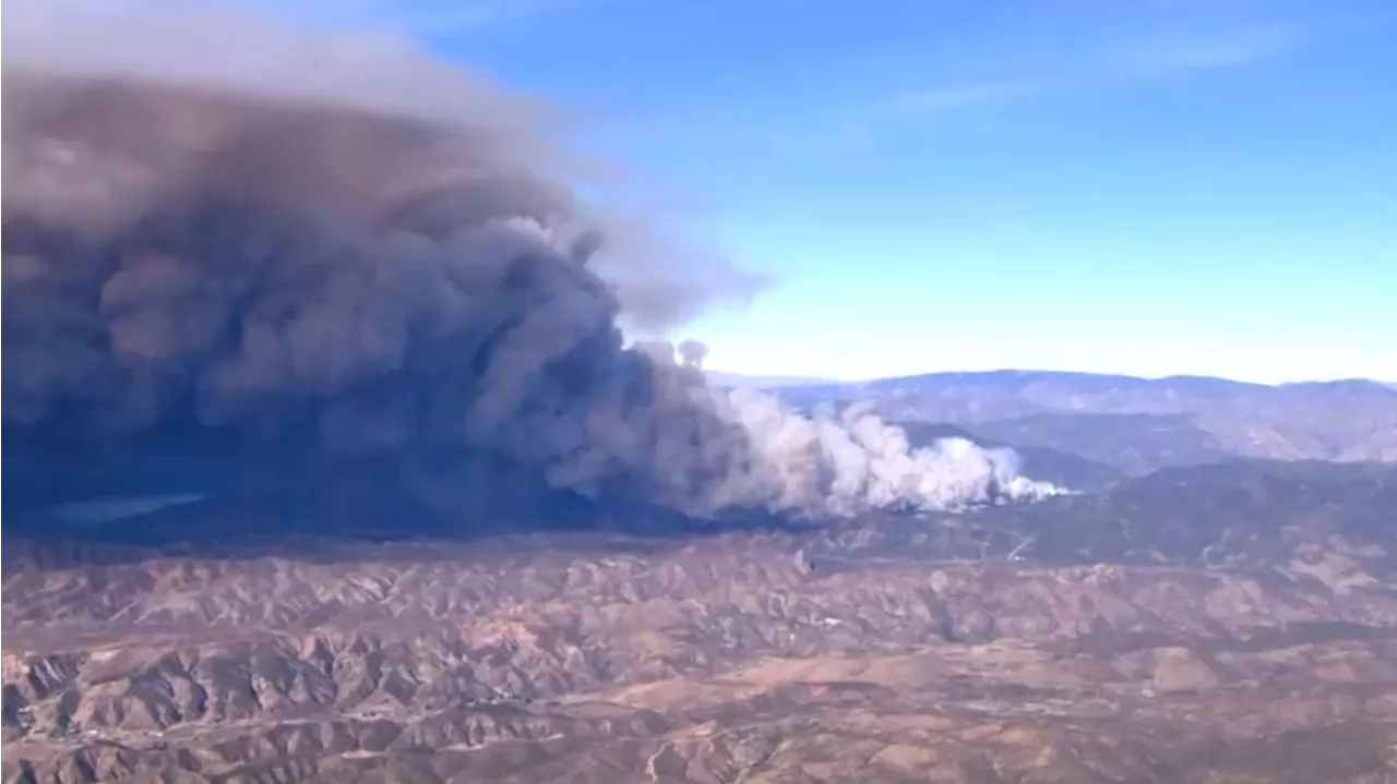 Rapidly Spreading Brush Fire Near Castaic Forces Evacuations