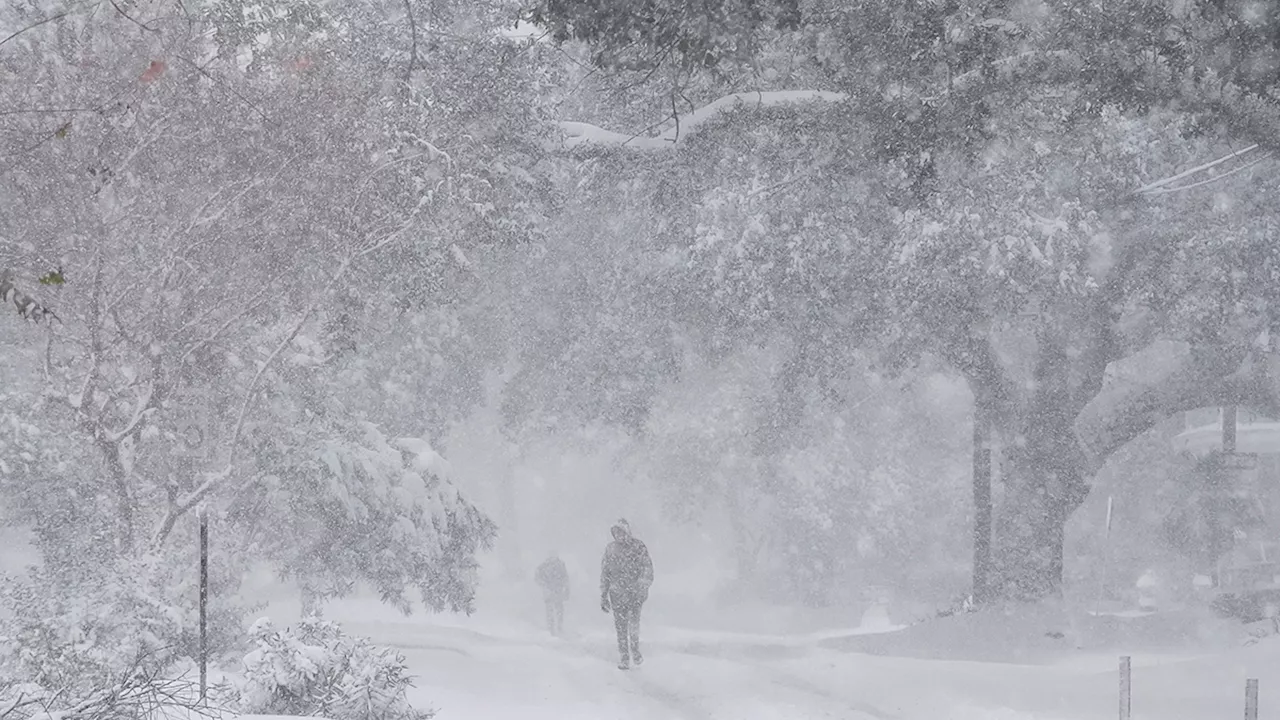 Southern States Bathed in Uncharacteristic Snowstorm