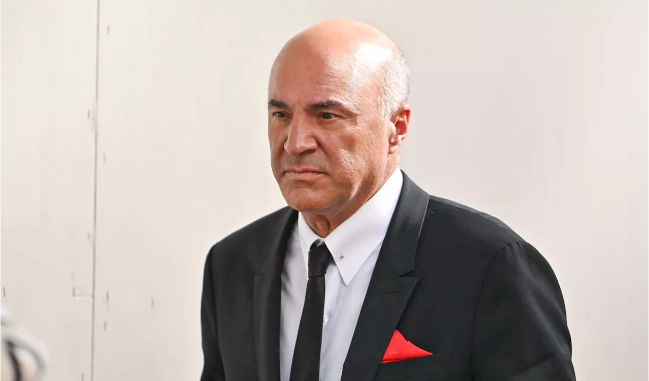 Canadian Investor O'Leary Remains Interested in TikTok Despite Legal Hurdles