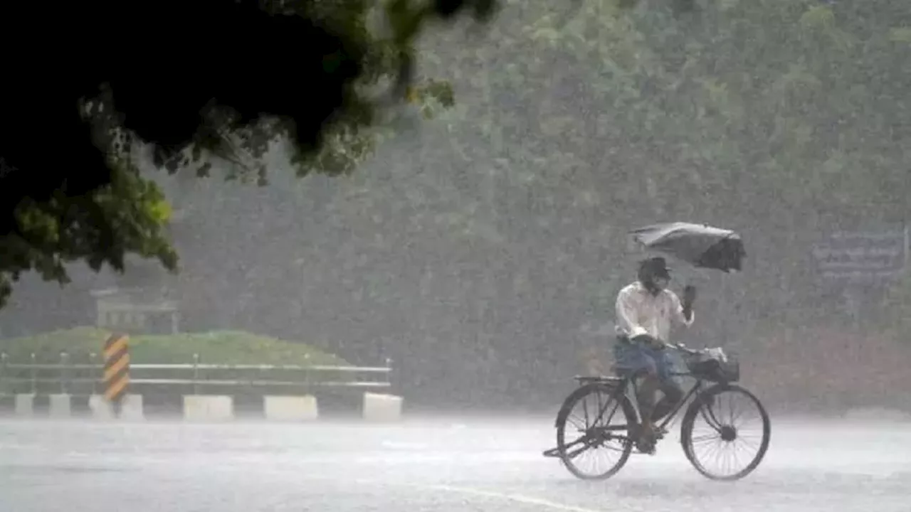 Rain Alert: धूप की खुशी होने वाली है काफूर, बारिश के बाद गिरेगा पारा, फिर से सताएगी ठंड