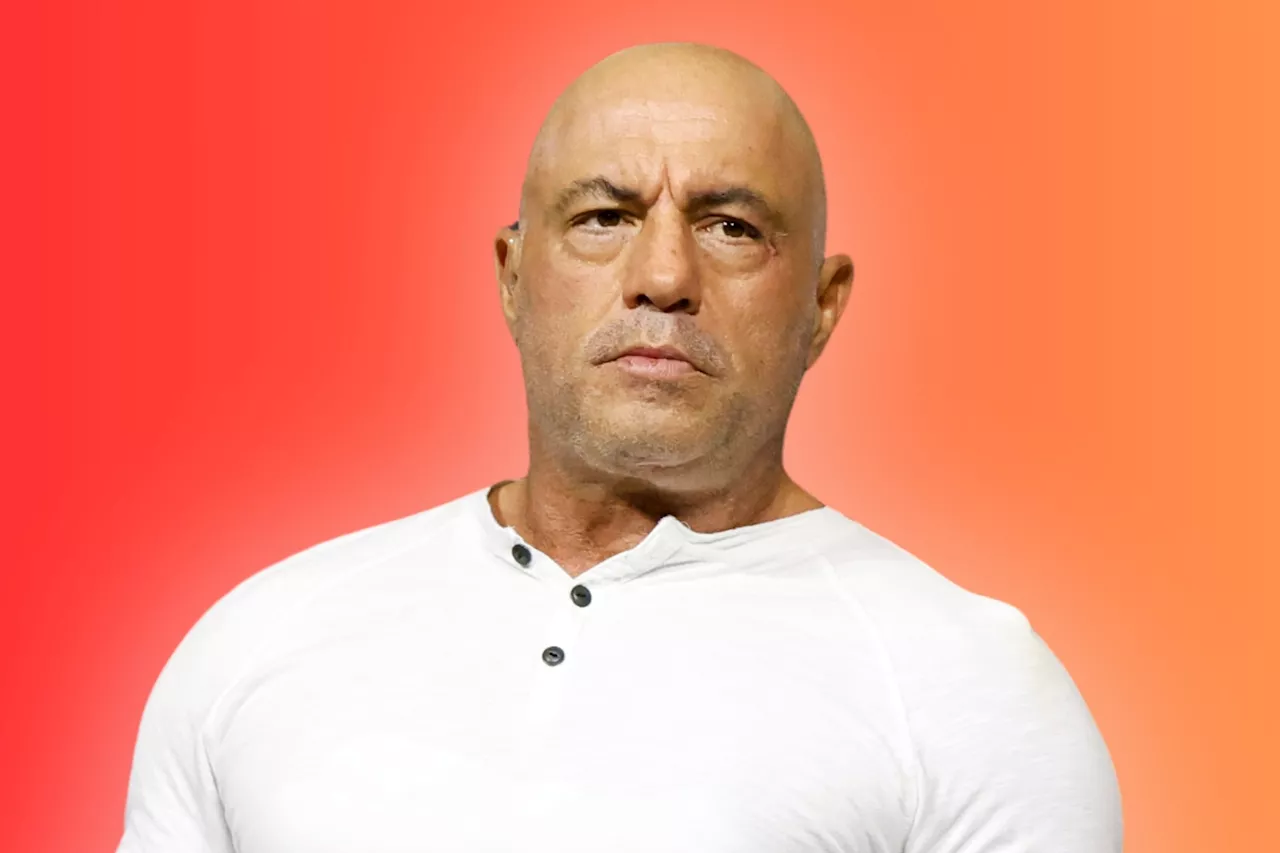 Joe Rogan Recalls Witnessing a Death During a California Wildfire While Filming 'Fear Factor'