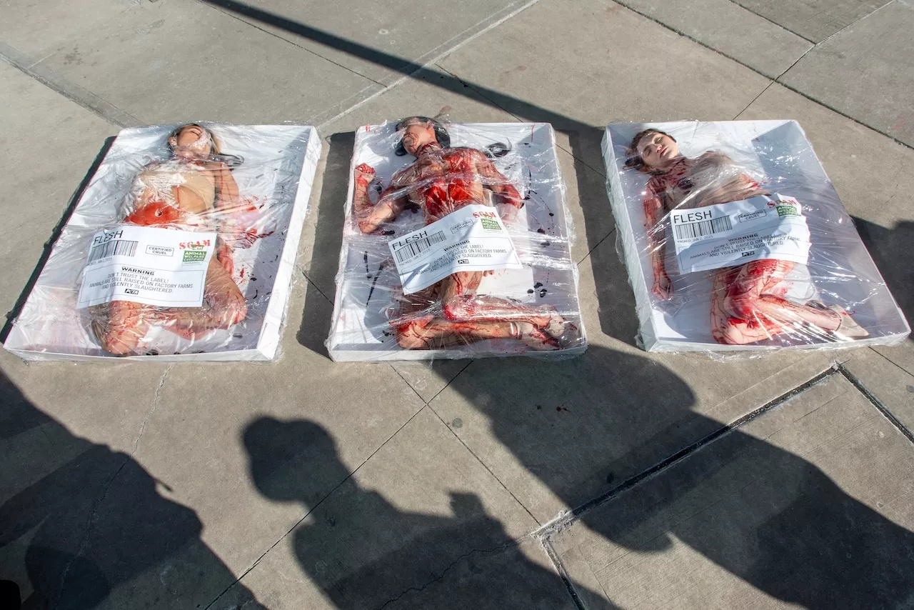 The ‘naked’ truth at Whole Foods in Jersey City? PETA protests treatment of the animals we eat (PHOTOS)