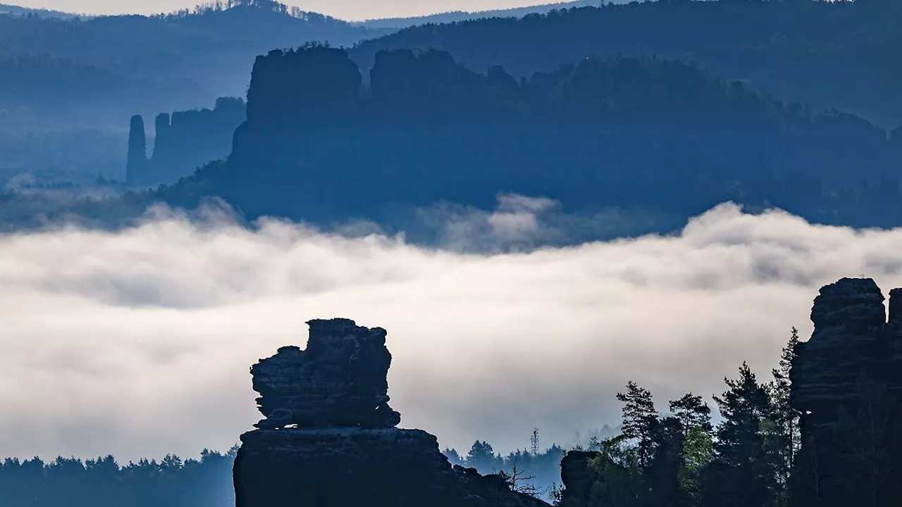 Sachsen: Verspätetes Geschenk - Caspar-David-Friedrich-Show in Pirna