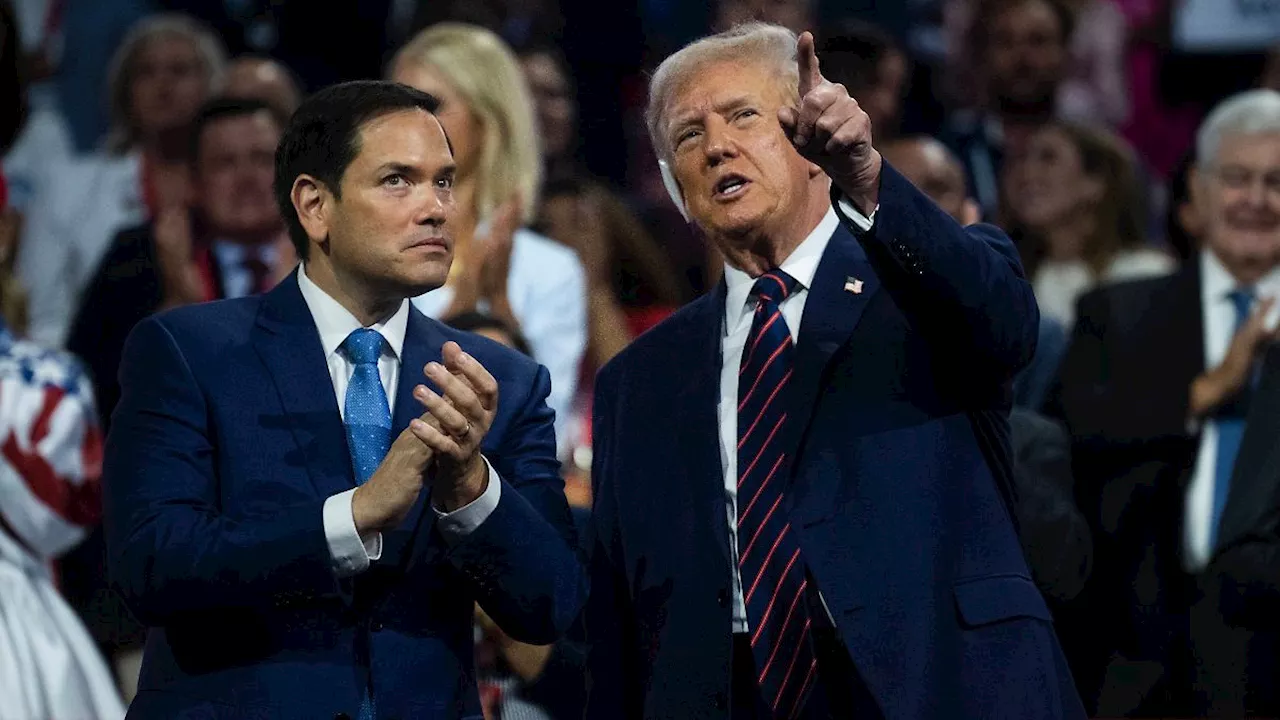 Wer ist der neue Außenminister?: Marco Rubio - einer der wenigen 'Normalen' an der Seite Trumps