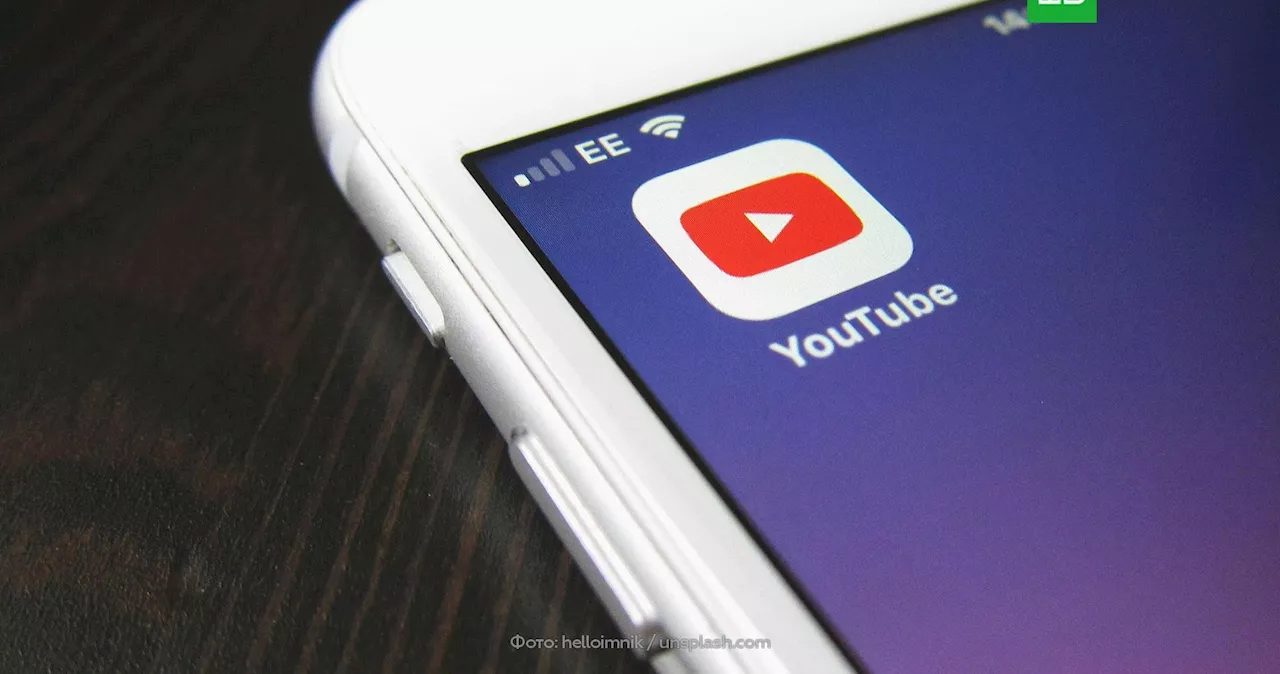 Белорусы попросили Лукашенко пресечь дезинформацию из YouTube