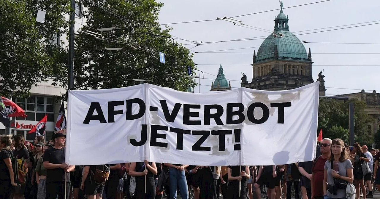 DIMR sieht AfD-Verbot als aussichtsreich an