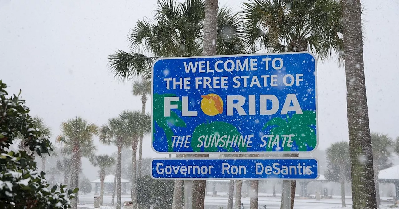 Schnee in Florida - Kältetote in Texas