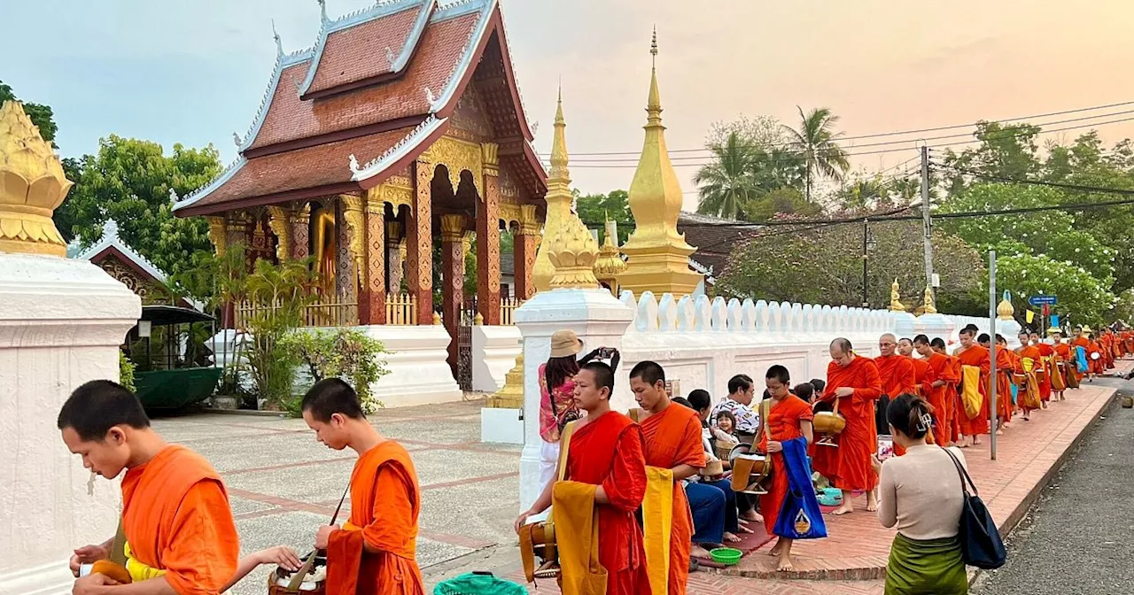 Top-Speed 150: Mit Chinas Schnellzug durchs entspannte Laos