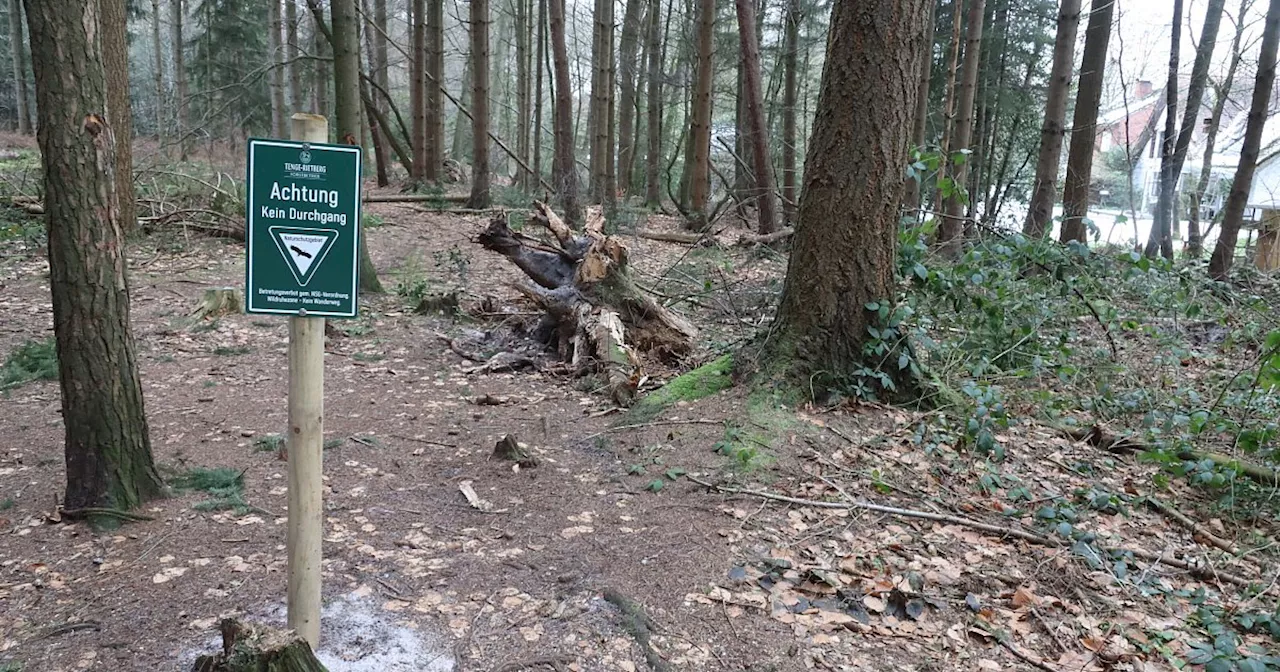 Waldbesucher ignorieren Regeln: Drastische Maßnahme ärgert Anwohner im Kreis Gütersloh