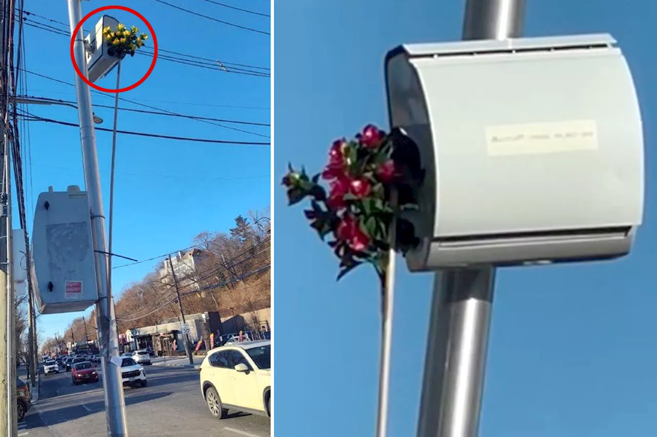 NYC drivers thwart speed cameras by covering lenses with fake flowers: 'Same as congestion pricing'