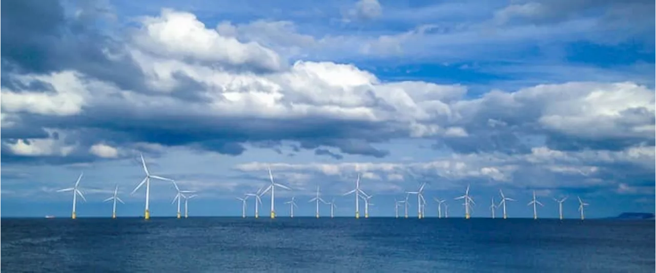 Orsted Hit by $1.68 Billion Impairment Charge as Trump Halts US Offshore Wind Lease Sales