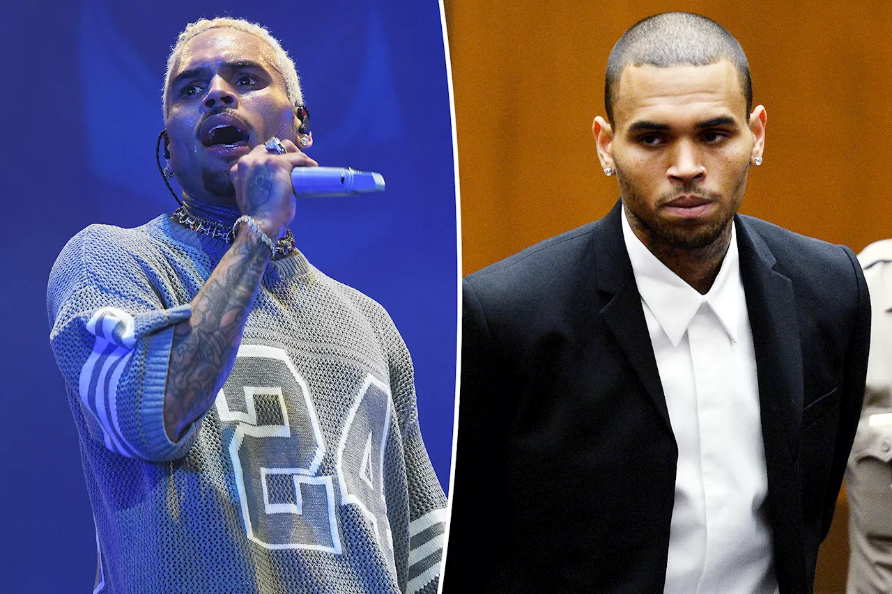 Chris Brown sues Warner Bros. for $500M after docuseries labels him 'a serial rapist and a sexual abuser'