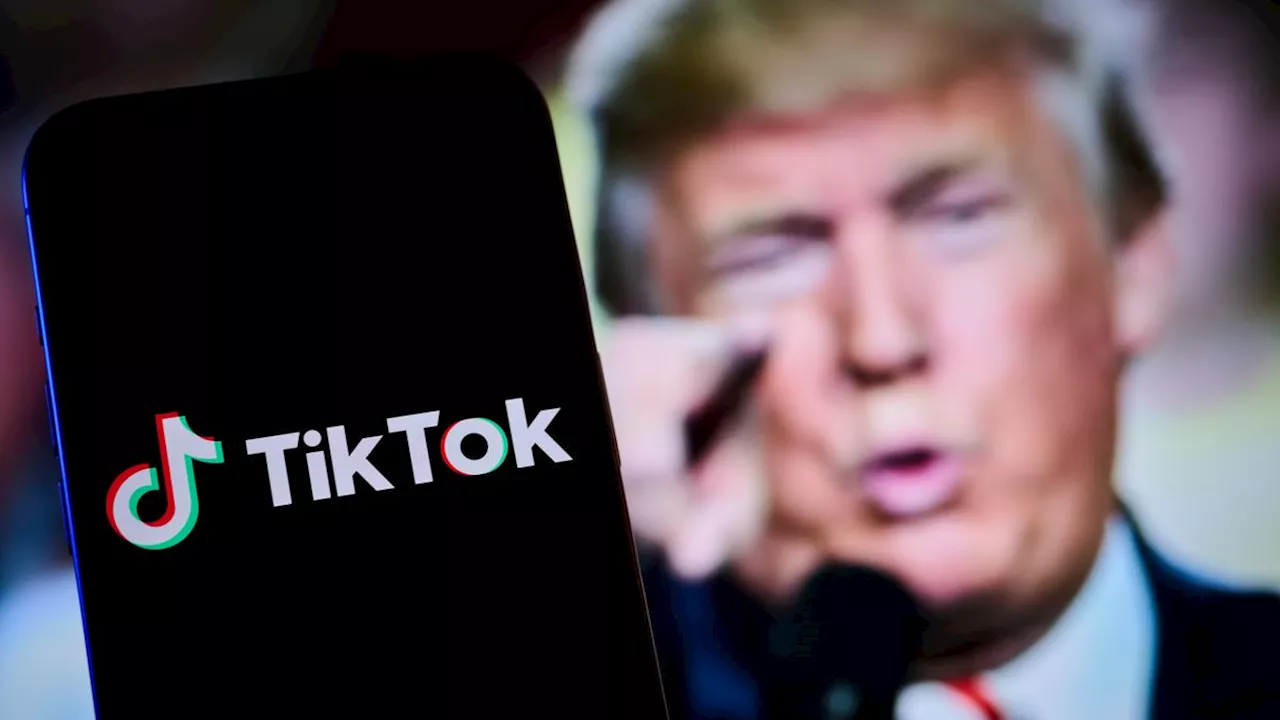 Trump Wants Half of TikTok in a Sale to Musk or Ellison