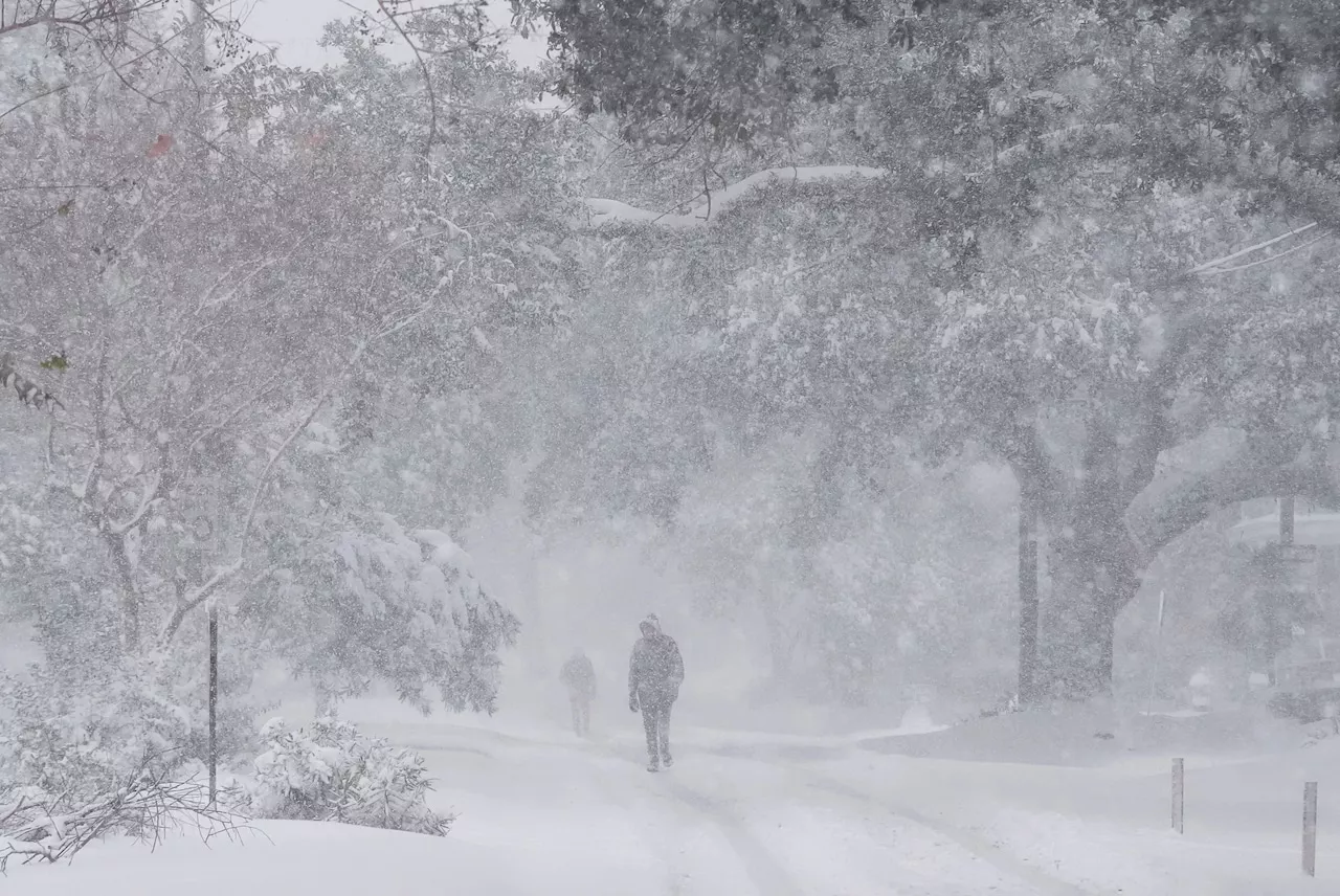 Rare Winter Storm Blankets Texas and Gulf Coast in Snow, Disrupting Life and Sparking Unexpected Celebrations