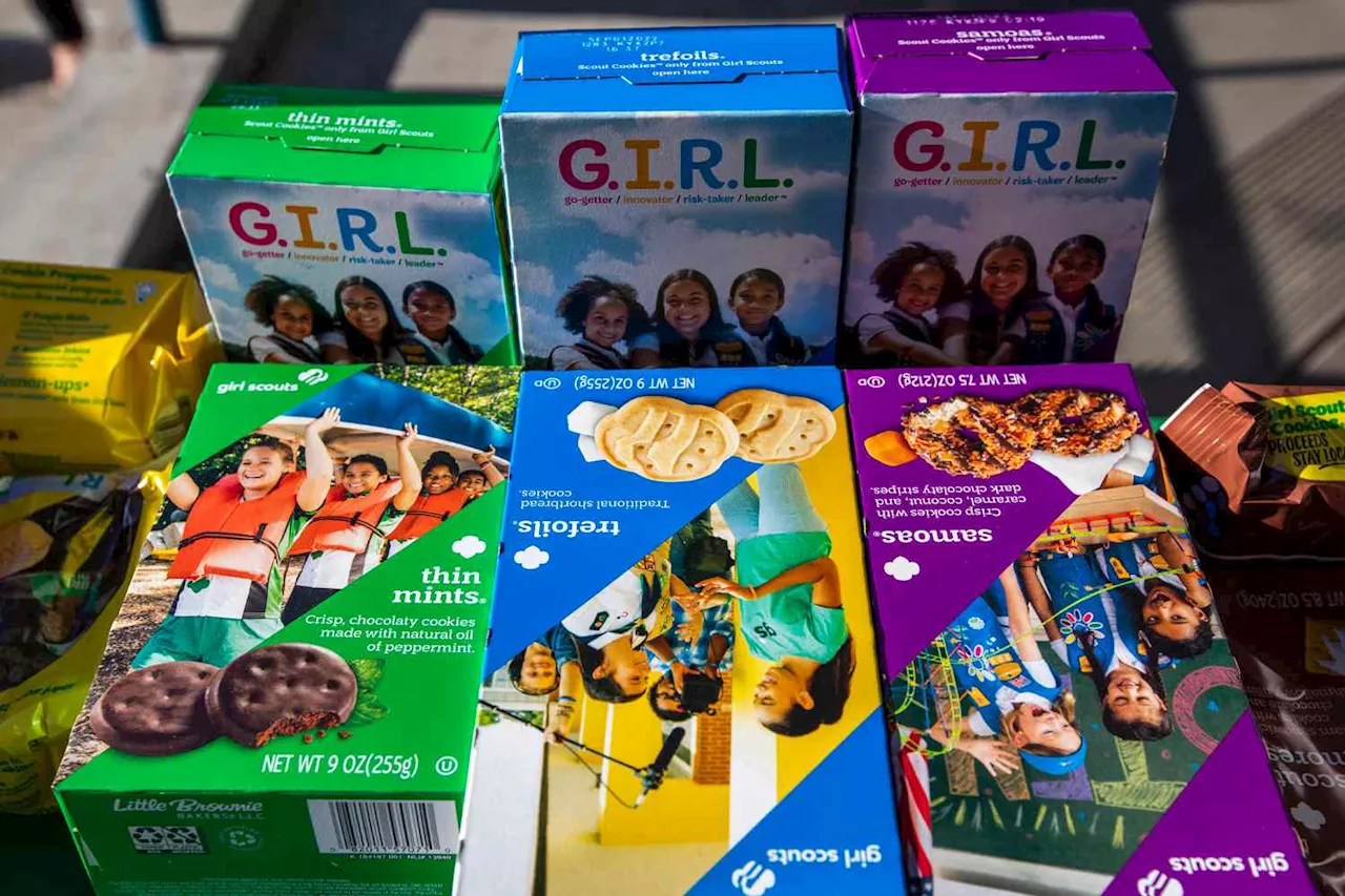 Coworker Called Woman 'Stingy' After She Refused to Buy Girl Scout Cookies