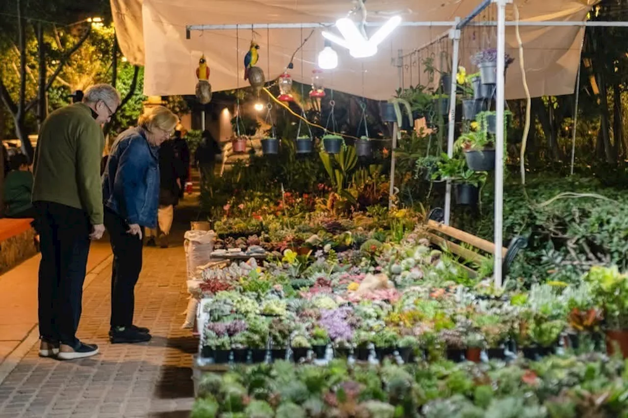 Feria de la Candelaria se muda a Zeferino Gutiérrez