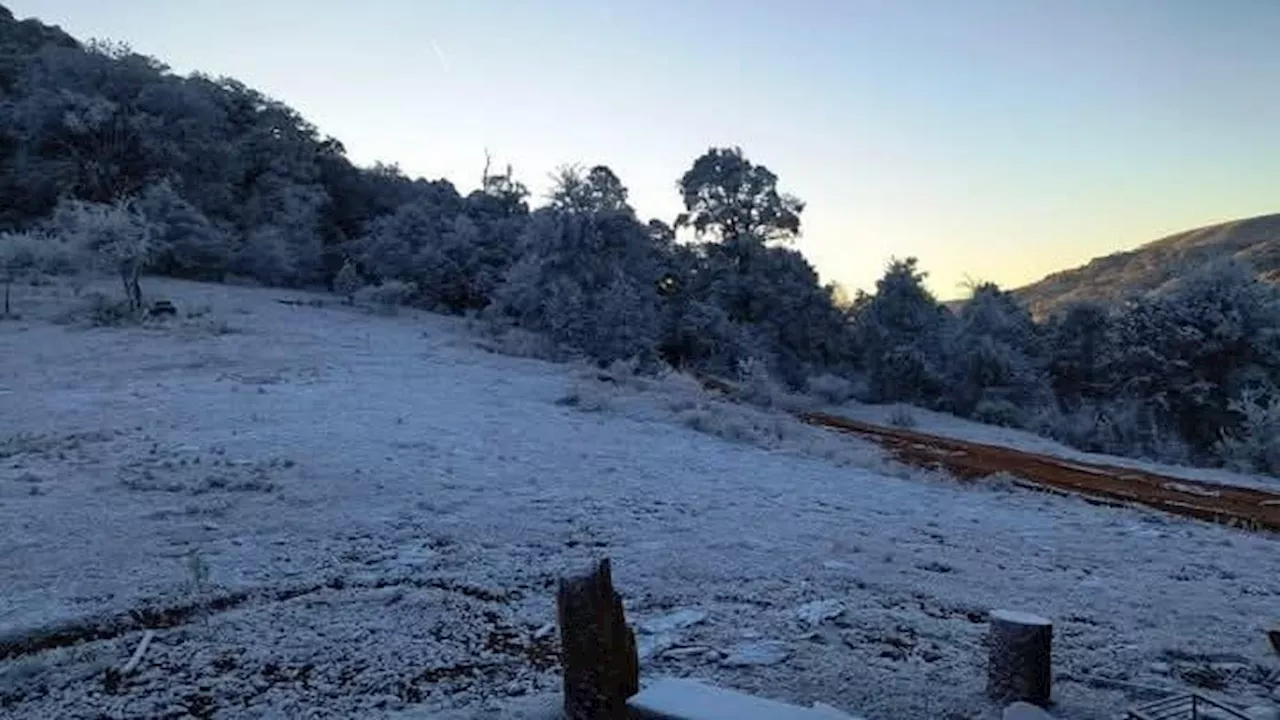 Nevadas y bajas temperaturas sorprenden en Guanajuato