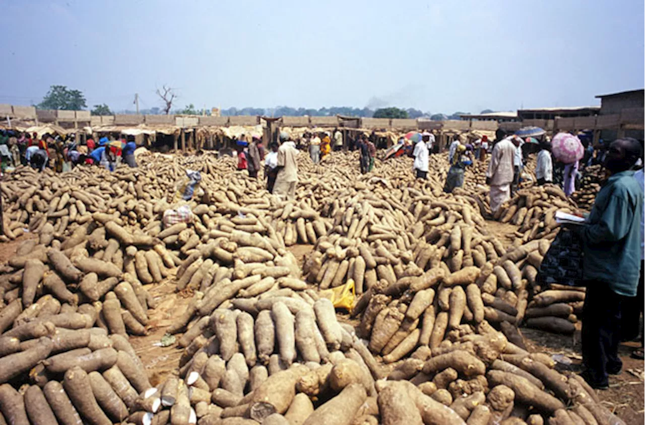 ANALYSIS: Seven key issues that shaped Nigeria’s agriculture sector in 2024