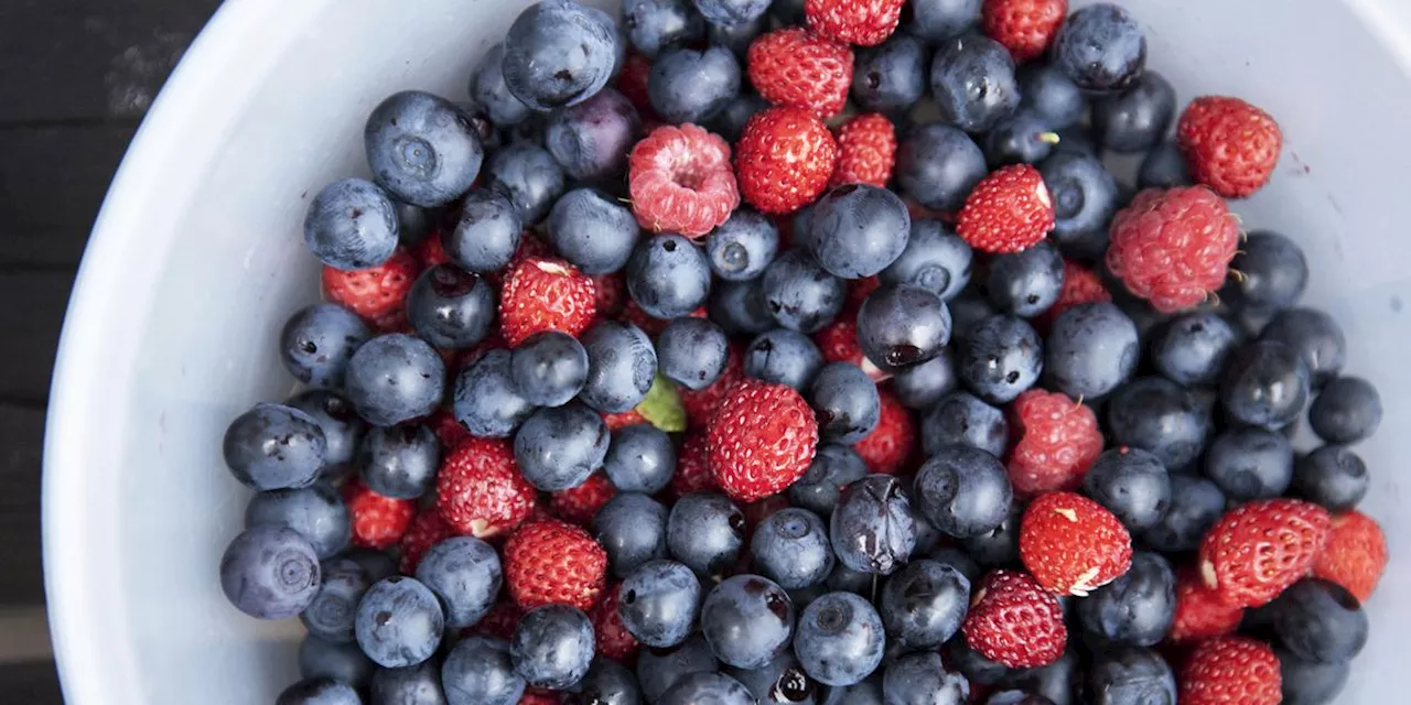 The FDA Is Changing Food Safety Strategy Around Fresh and Frozen Berries