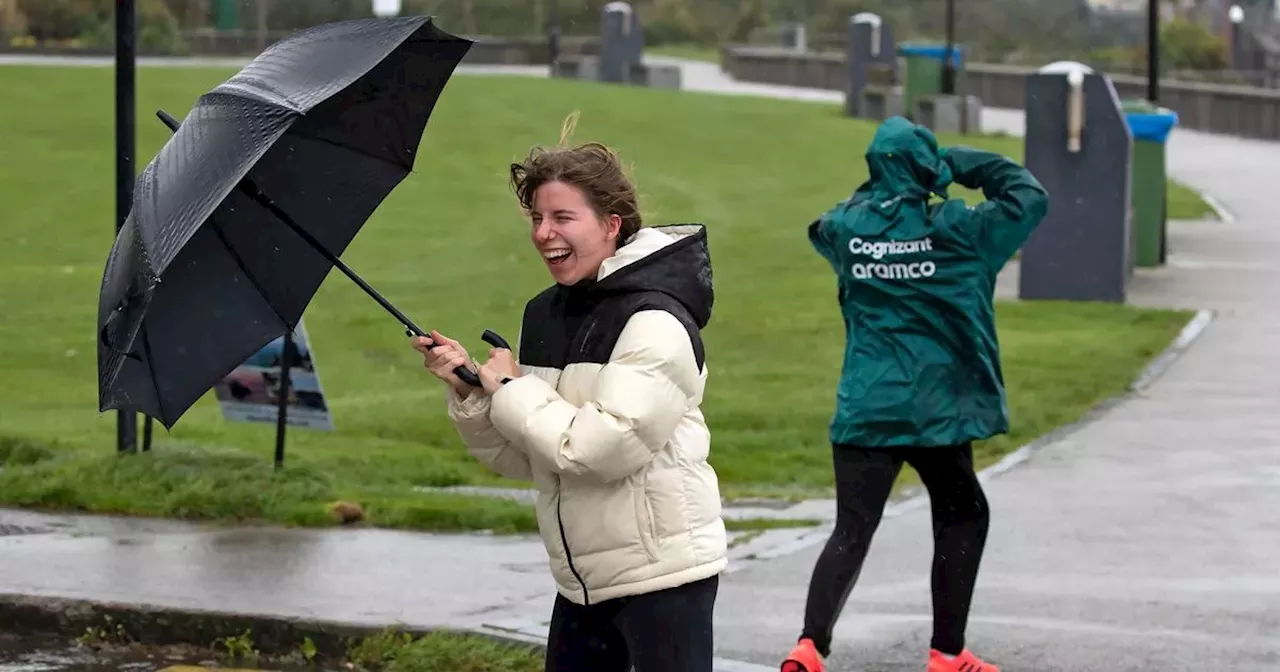 Storm Éowyn: Ireland Faces Red Weather Warning, Schools and Public Transport Shut Down