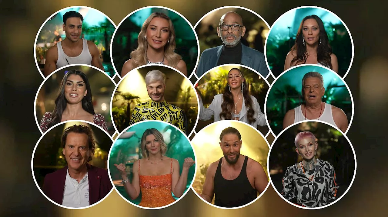 Dschungelcamp 2025: Das sind alle Begleitpersonen der IBES-Kandidaten in Australien